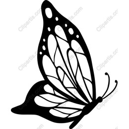 Elegant Butterfly
