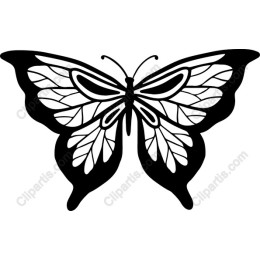 Black Butterfly
