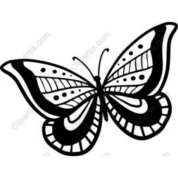 Elegant Black and White Butterfly