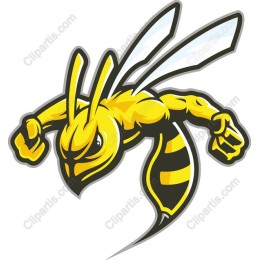 Fierce Yellow Hornet