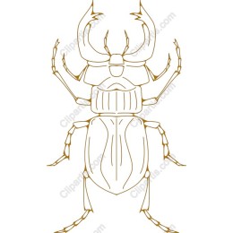 Majestic Beetle