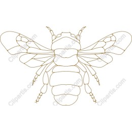 Stylized Bee