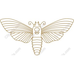 Elegant Moth