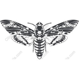 Gothic Moth Skull