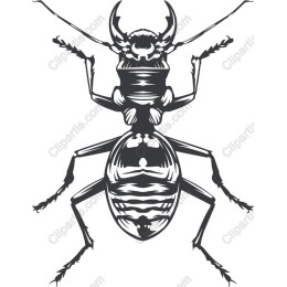 Intricate Ant