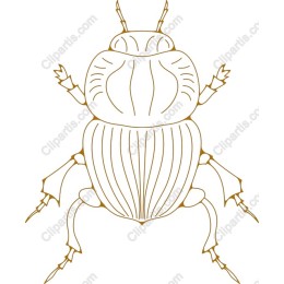 Minimalist Beetle