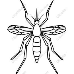 Mosquito Line Art