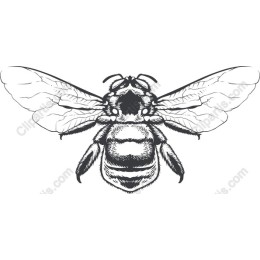 Intricate Bee