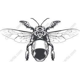 Vintage Bee