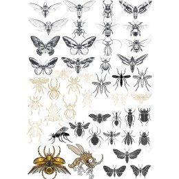 Insect Bundle