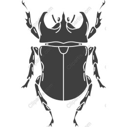 Premium Beetle