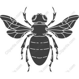 Elegant Bee