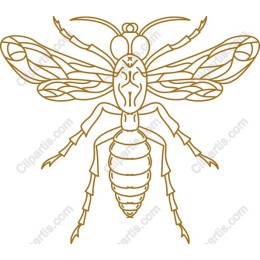 Intricate Bee