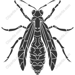 Intricate Wasp