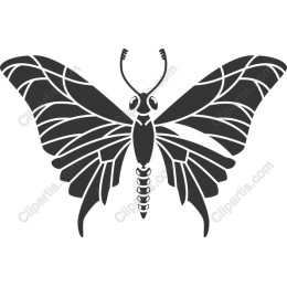 Elegant Butterfly