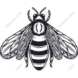 Intricate Bee