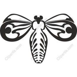 Stylized Cicada