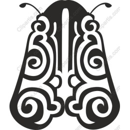 Elegant Butterfly