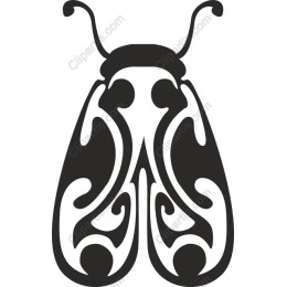 Intricate Butterfly