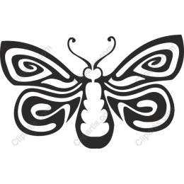 Elegant Swirling Butterfly