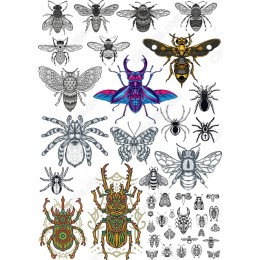 Insect Bundle