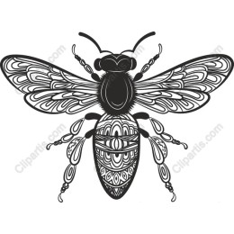 Intricate Bee