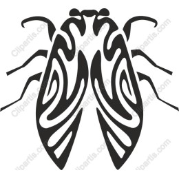 Stylized Cicada