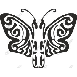 Intricate Butterfly