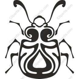 Ornate Beetle