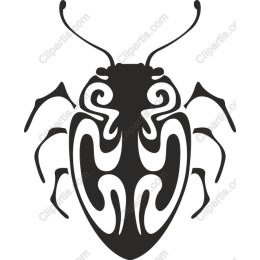 Elegant Insect
