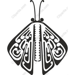 Ornate Butterfly