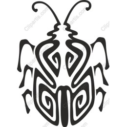 Elegant Beetle