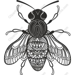 Intricate Bee