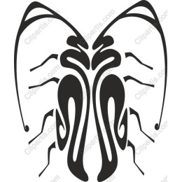 Abstract Butterfly