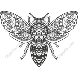 Elegant Ornate Bee