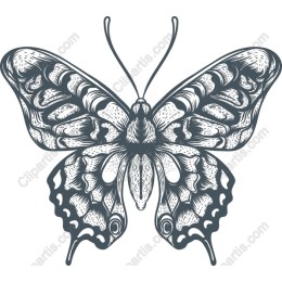 Elegant Vintage Butterfly