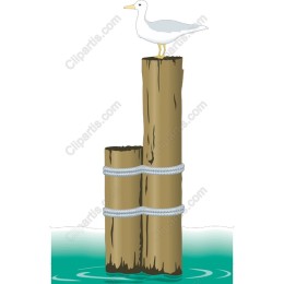 Coastal Gull on Wooden Pilings