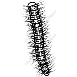 Caterpillar - Detailed and