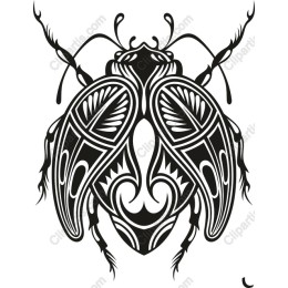 Intricate Beetle