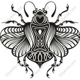 Ornate Beetle