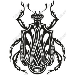 Intricate Beetle