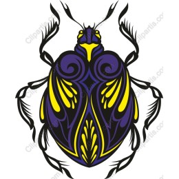 Vibrant Beetle