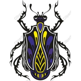 Vibrant Beetle