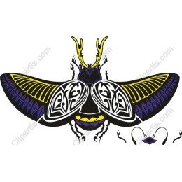 Vibrant Ornate Beetle