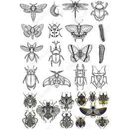  Insects Collection - Premium Clipart Bundle