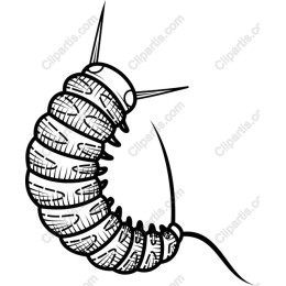 Caterpillar
