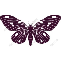Elegant Butterfly
