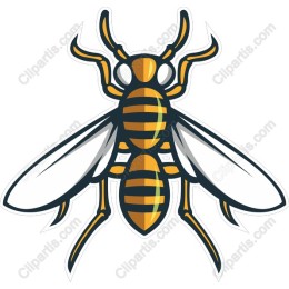Stylish Bee