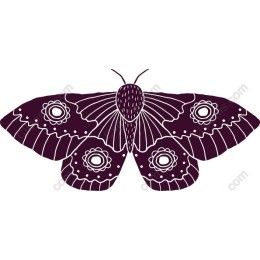 Elegant Butterfly
