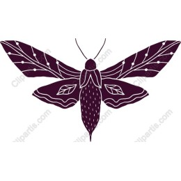 Stylized Moth